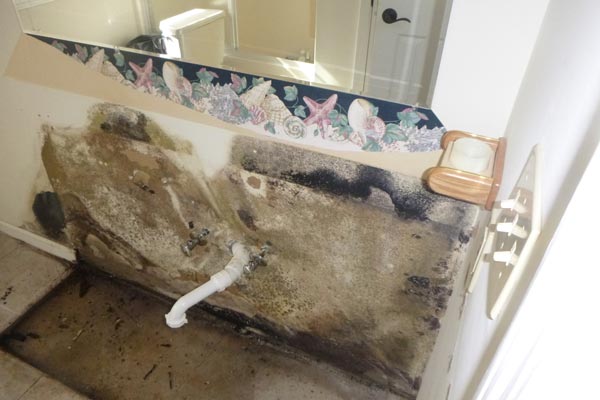 mold removal