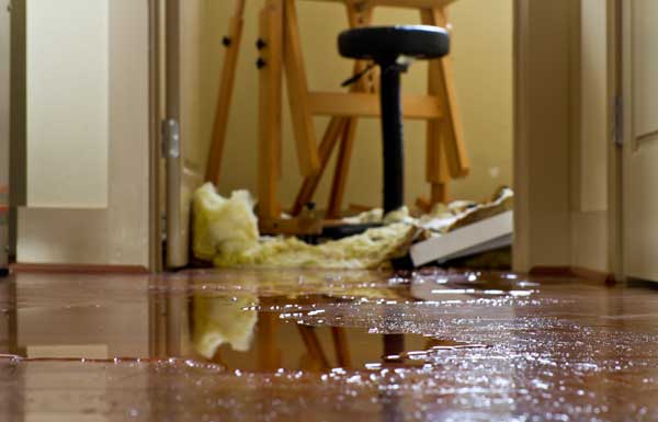 water damage dover de