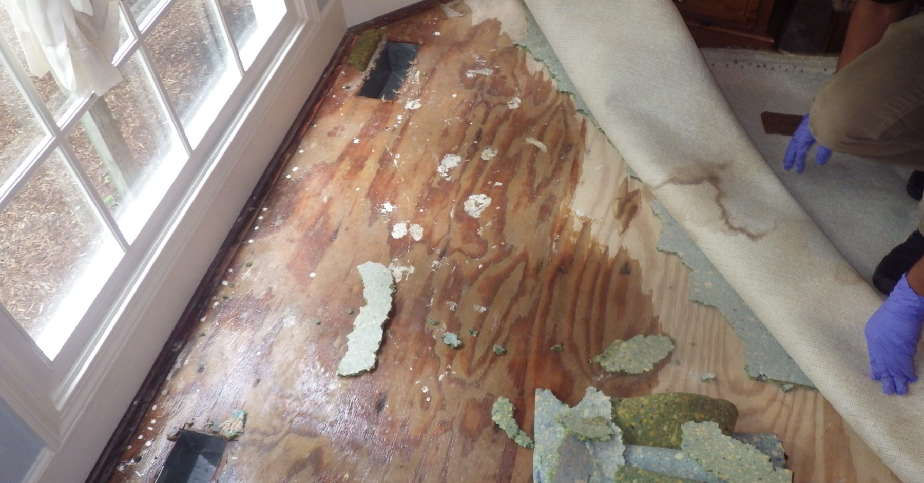 water damage smyrna