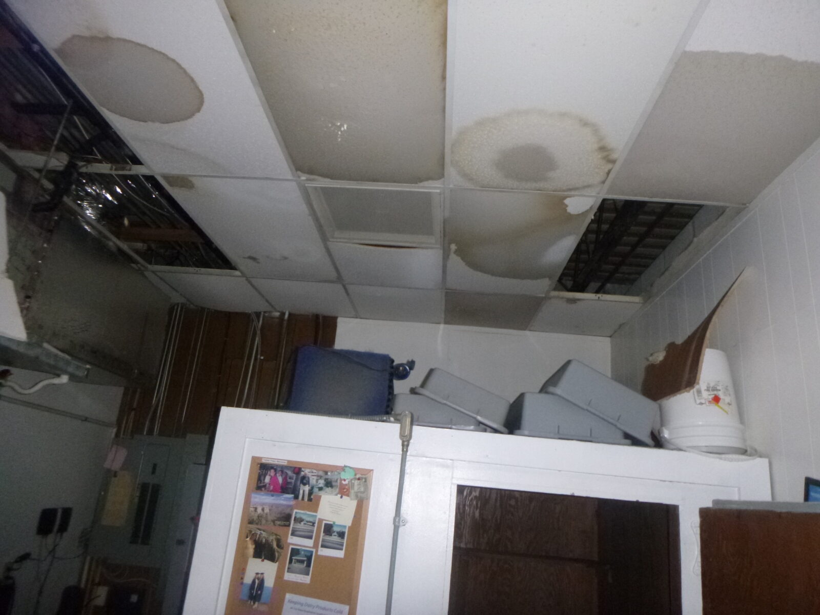 water damage wilmington de